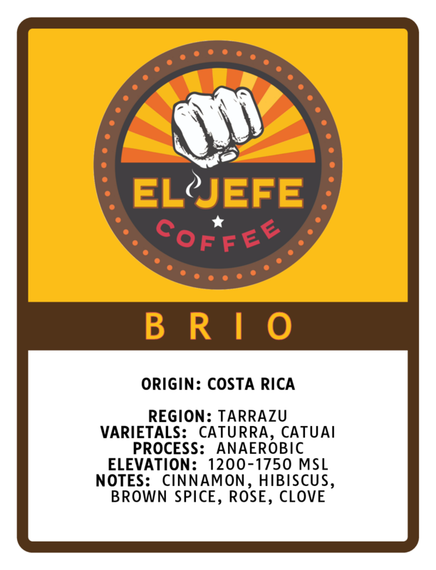 BRIO - ANAEROBIC COSTA RICA