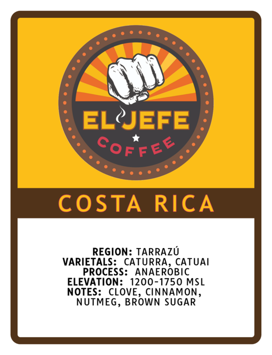 ANAEROBIC COSTA RICA